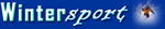 Winter sport